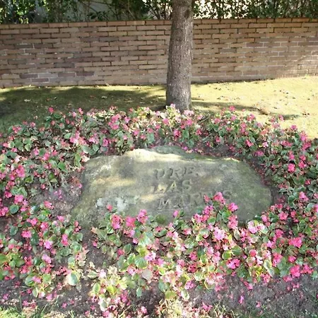 Duplex Artigas * Comillas